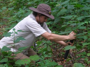 Mineral Soil Collection