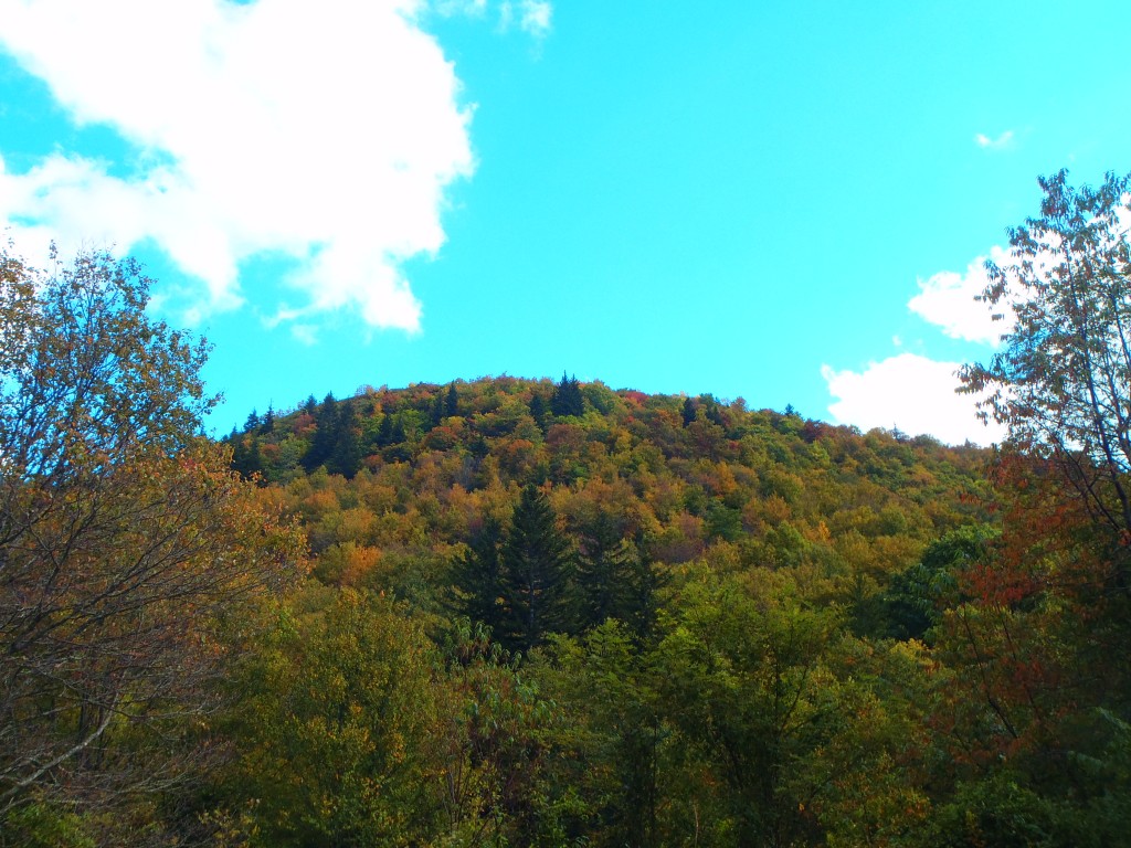 Blue Ridge Parkway