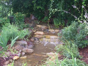 Spring Rain 3