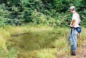 Natural Wetland